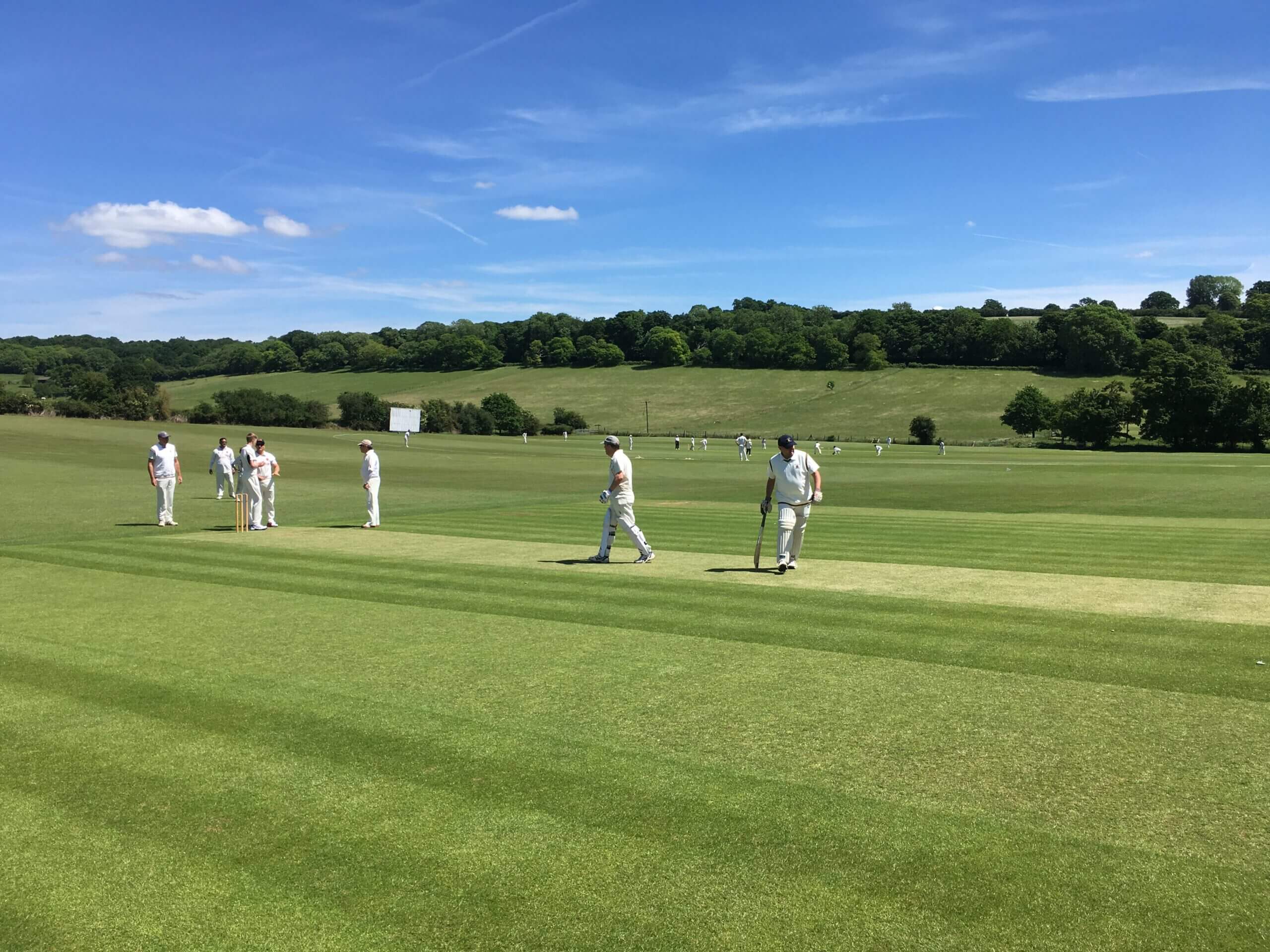 Cricket